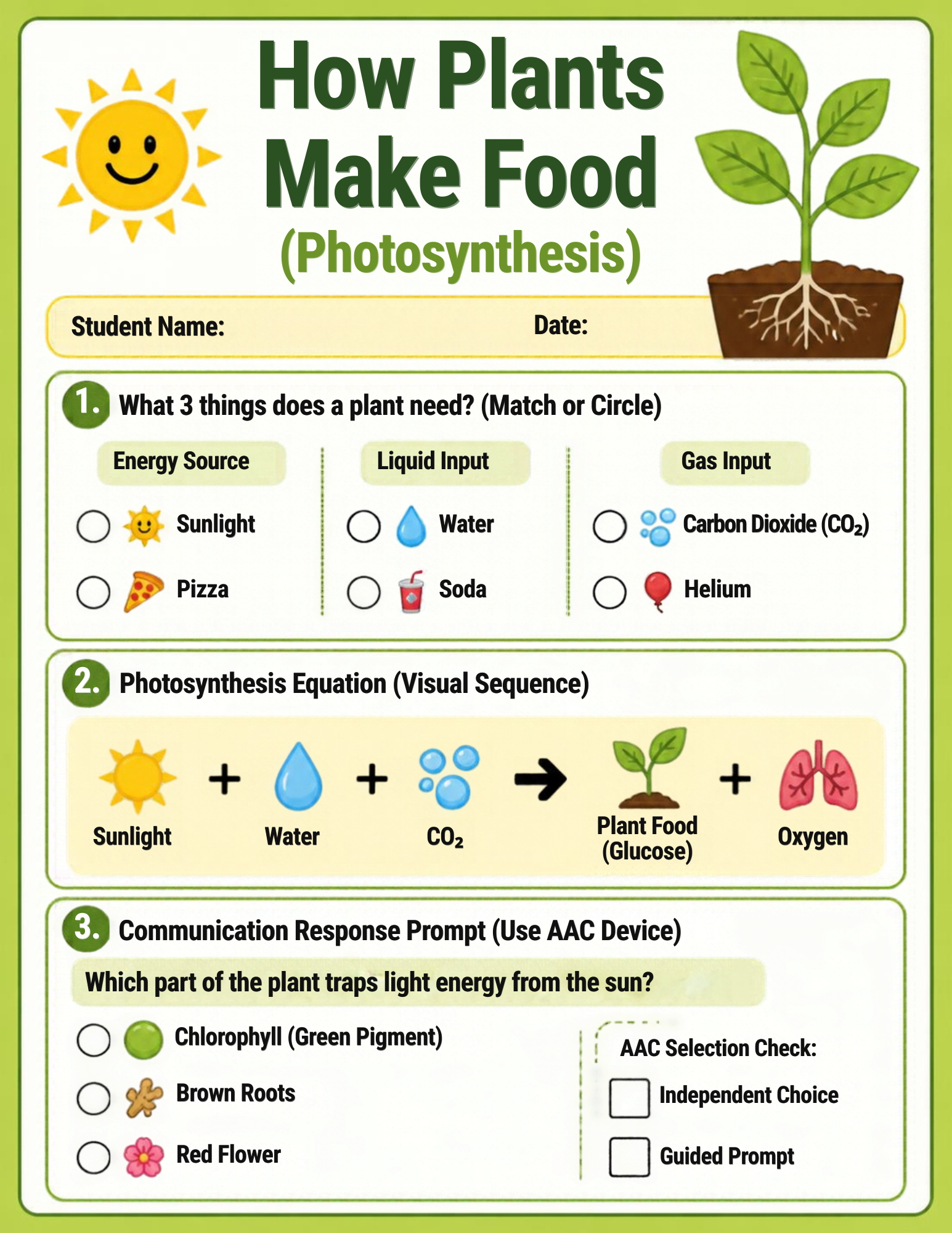 Ready to Print Differentiated Science Worksheets - Visual Symbol & AAC Support Worksheet